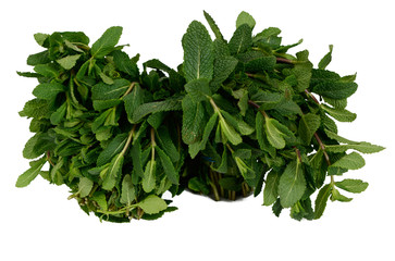 Mint on white background