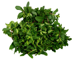 Mint on white background