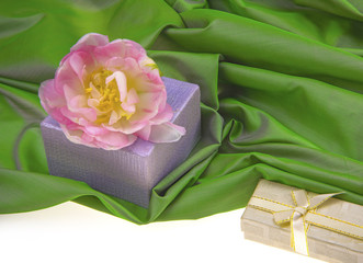 Gift boxes and tenderness pink tulip on green soft fabric.