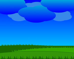 Fototapeta premium grass and sky background