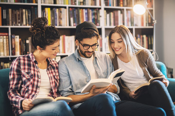 Group of beautiful hardworking students learning together while sitting on the sofa in the library.