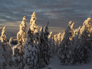 Coucher de soleil d'hiver