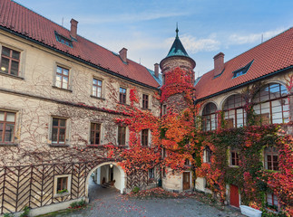Hruba Skala Castle in Bohemia paradise - Czech republic - obrazy, fototapety, plakaty
