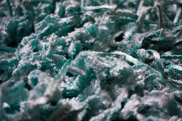 Blue Messy Wisp Carpet  Strings Colorful Closeup