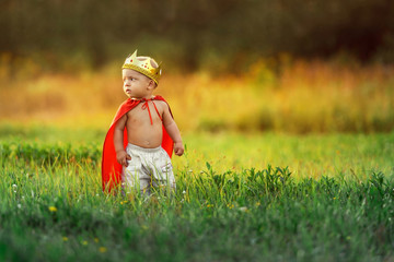 Little child prince summer day outdoors around colorful green grass. King kid in costume cute hero...