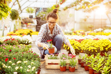 Cheerful beautiful motivated florist woman crouching and selecting flowers in the wooden box on the floor of the greenhouse.