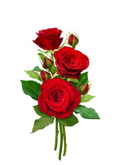 Bouquet of red rose flowers and buds