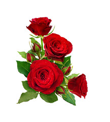 Corner arrangement with red roses flowers and buds - obrazy, fototapety, plakaty