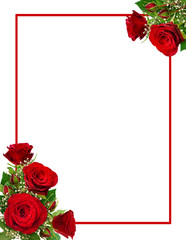 Fototapeta premium Narożne układy z czerwonymi różami i kwiatami łyszczec i pąkami