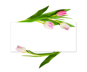 Pink tulip flowers and a card
