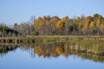 Fall Colours along the Rideau River, Ontario