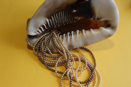 Necklace decoration of pearls whith shell