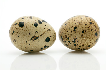 Obraz premium Two quail eggs close-up