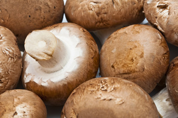 braune Champignons 
