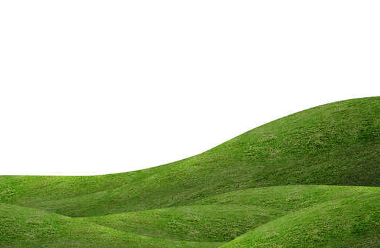 Fototapeta Green grass hill background isolated on white. Outdoor of green meadow background.