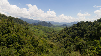 Obraz premium Aerial view of tropical green rain forest landscape in Thailand during sunny summer day
