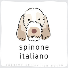 Dog Breed Collection : Vector Illustration