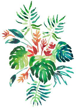 Jungle Mix