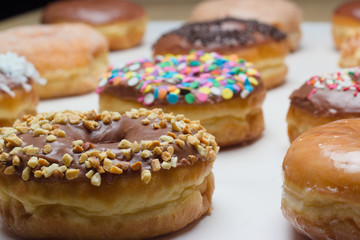 donuts on a cookie sheet