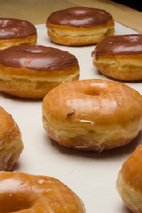 donuts on a cookie sheet