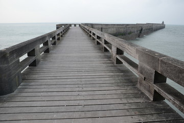 Fototapeta premium The path