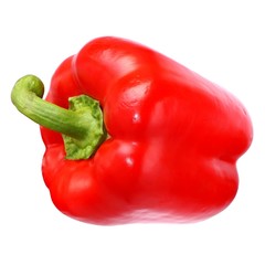 Paprika red yellow green tail.