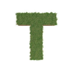 Alphabet T made of green tree on white background. 3D illustration