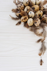 Easter eggs with feathers in the shape of a nest on a white background. Flat lay 