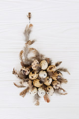 Easter eggs with feathers in the shape of a nest on a white background. Flat lay 