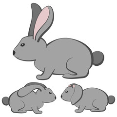 Set of cartoon gray rabbits with different type of ears.