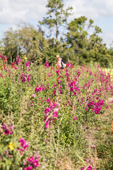 Field of Pink Flowers, Woman in Background - 196374346