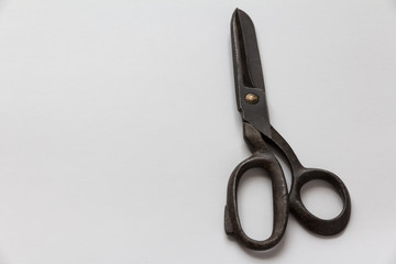 vintage scissors on white background