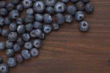 blueberry closeup