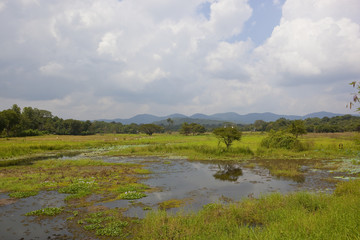 sri lankan scenic countryside