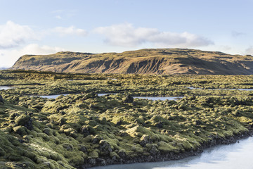 Obraz premium Island Lavafeld Moos, Streiflicht im Süden mit Küstenlinie