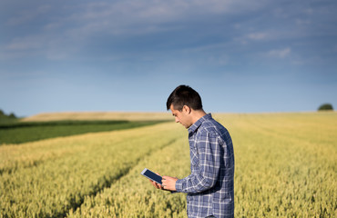 Naklejka na ściany i meble Farmer with tablet in green wheat field