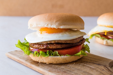 Homemade Double Hamburger with Egg, Lettuce and Tomatoes.