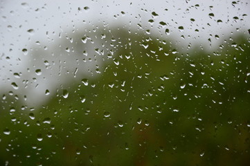 Rain drops on the window with forest background