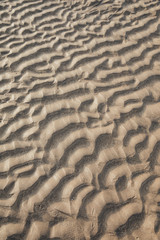 Patterns on a Beach