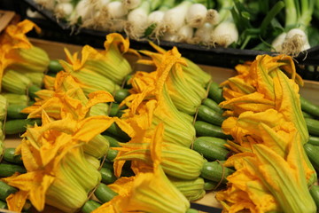 fiori di zucca