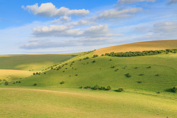 Fototapeta premium Green Hills in Sussex