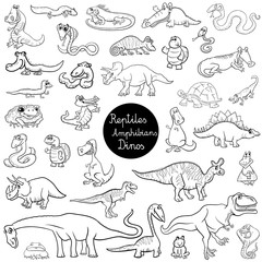 reptiles and amphibians set color book