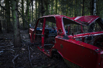 Rotes Auto im Wald
