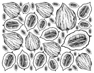 Hand Drawn Background of Fresh Etrog Fruit