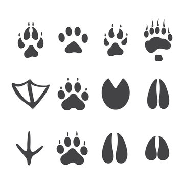Vector illustration. Set of animal and bird Paw Foot Prints Logo. Black on White background. Animal paw print with claws.