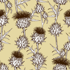Seamless pattern with onopordum acanthium. Scottish thistle