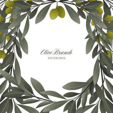 Olive branches and green olives frame on white background. Blank space for text