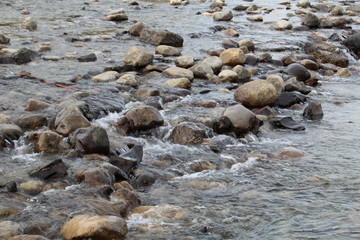 Rocks In The Bow River, Banff National Park, Alberta