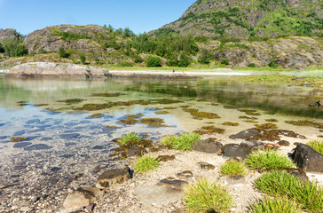 Fototapeta na wymiar The turquoise transparent water of the bay, Lofoten, Norway