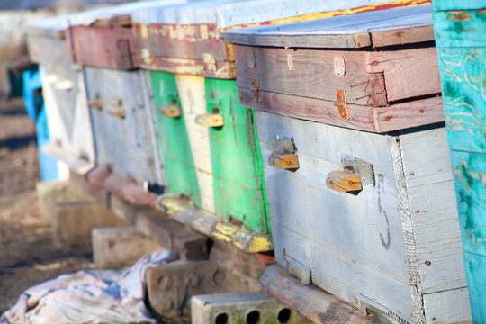 Bee Hives On Popular Destination